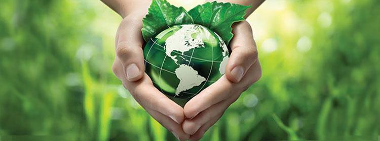 The Green Imperative